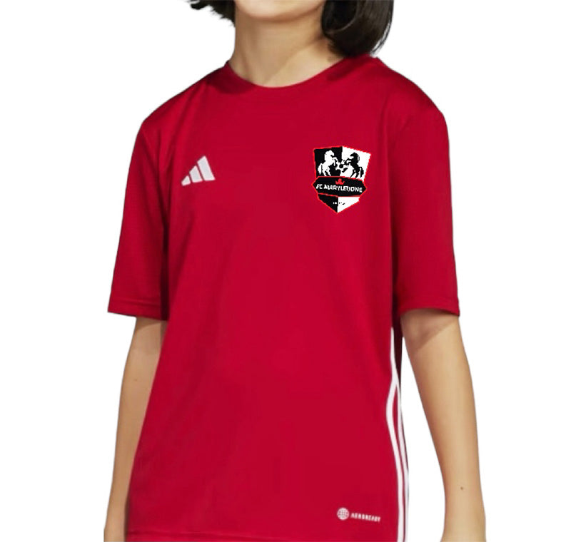 Training Top